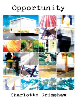 Opportunity - ebook